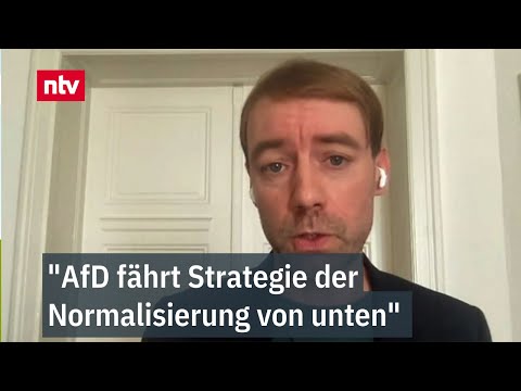 &quot;AfD fährt Strategie der Normalisierung von unten&quot; - Hillje bewertet Parteierfolg | ntv