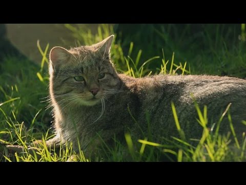 Das ist meine Natur - Die Nationalen Naturlandschaften Thüringens