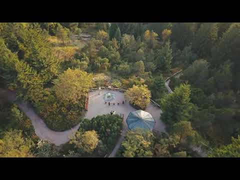 Der Rennsteiggarten im Thüringer Wald