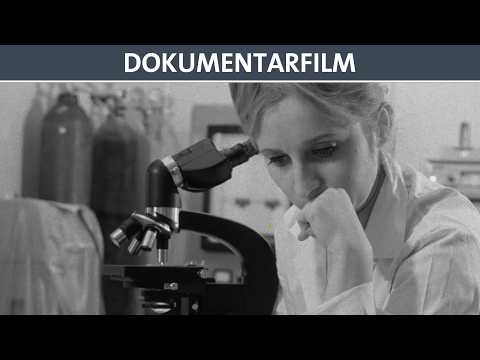 Sie - Doku (ganzer Film auf Deutsch)