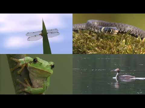 Die 8 Nationalen Naturlandschaften Thüringens