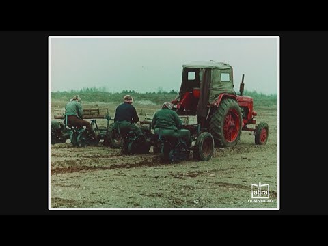 DDR Holzwirtschaft Standort Eberswalde Anfang der 70er Jahre