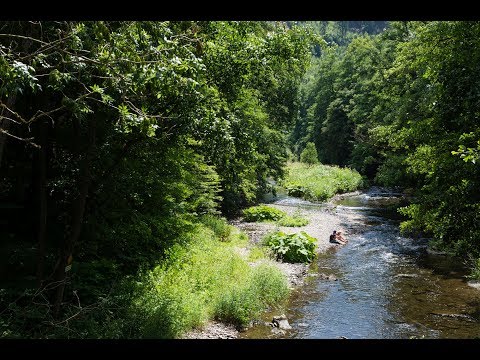 Sommerfrische im Schwarzatal - Ein Lebensgefühl im Wandel der Zeit