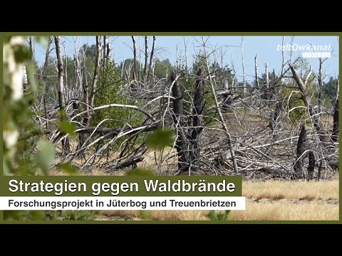 Strategien gegen Waldbrände | Forschungsprojekt in Jüterbog und Treuenbrietzen