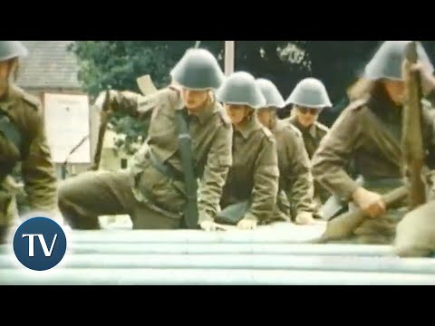 Die NVA-Frauen: Die Lebenswege dreier Soldatinnen der DDR