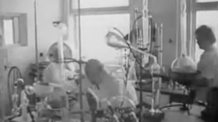 Riems Lehrfilm 1951