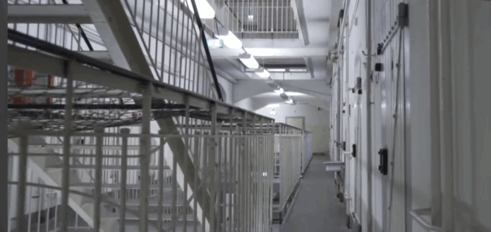 Screenshot 2025-11-24 180532