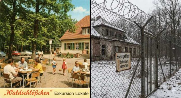 Gemini_Generated_Image_p6k9khp6k9khp6k9 (1)